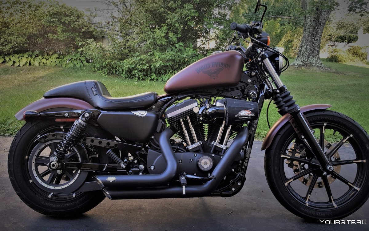 Harley-Davidson Sportster Forty-eight xl1200x