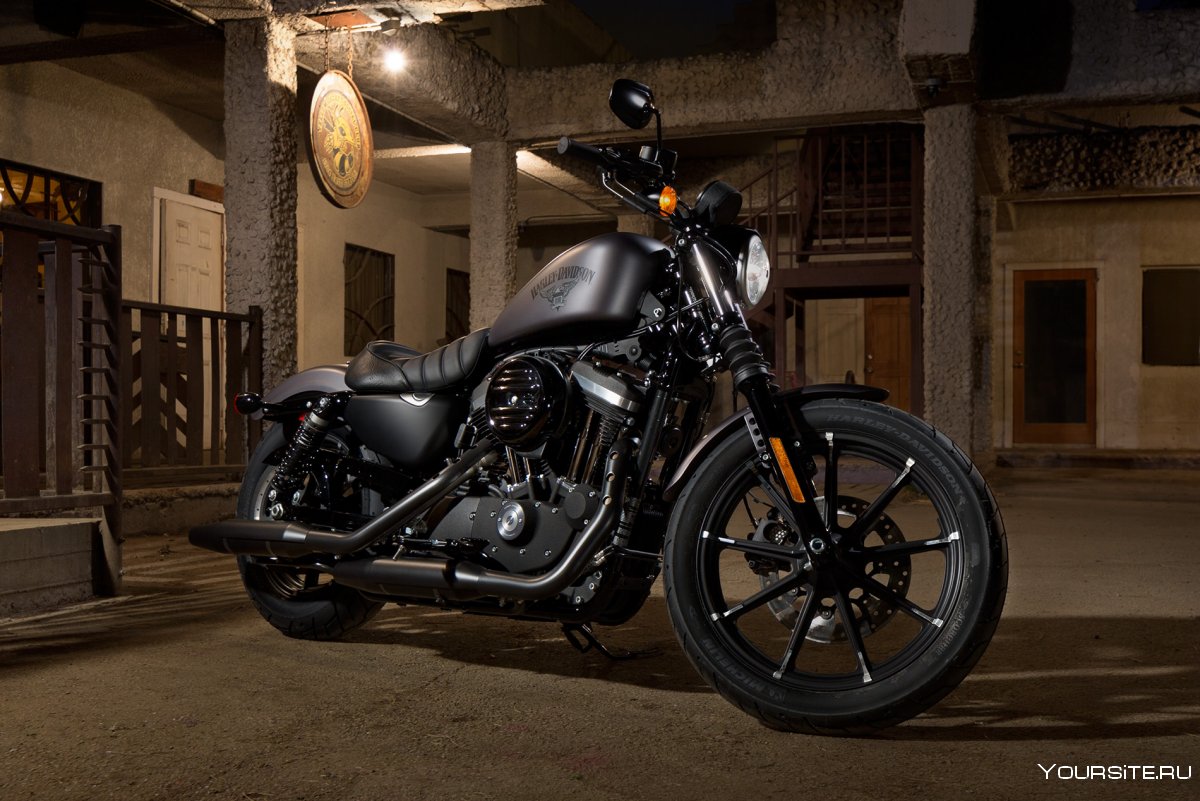Харлей Дэвидсон 1200 Forty eight