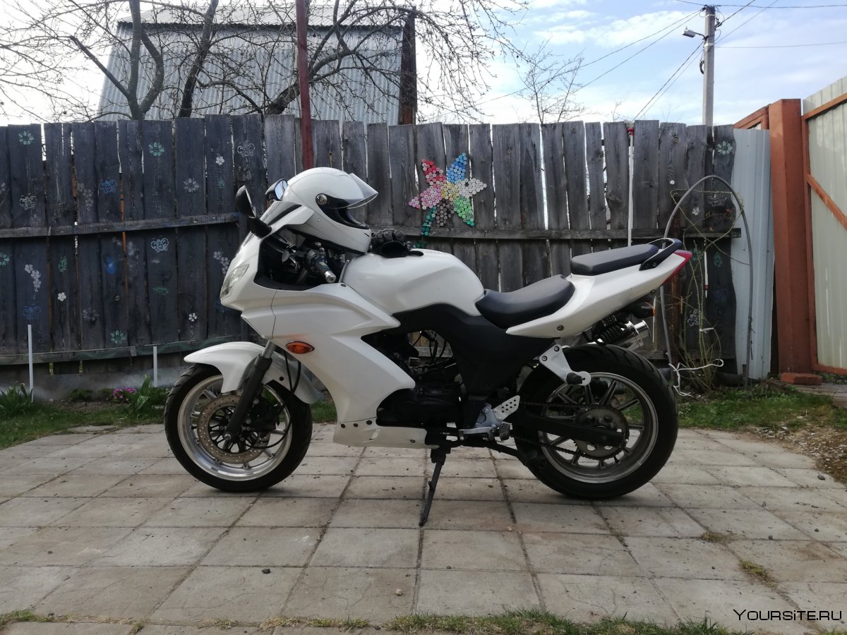 Yamasaki Scorpion 1