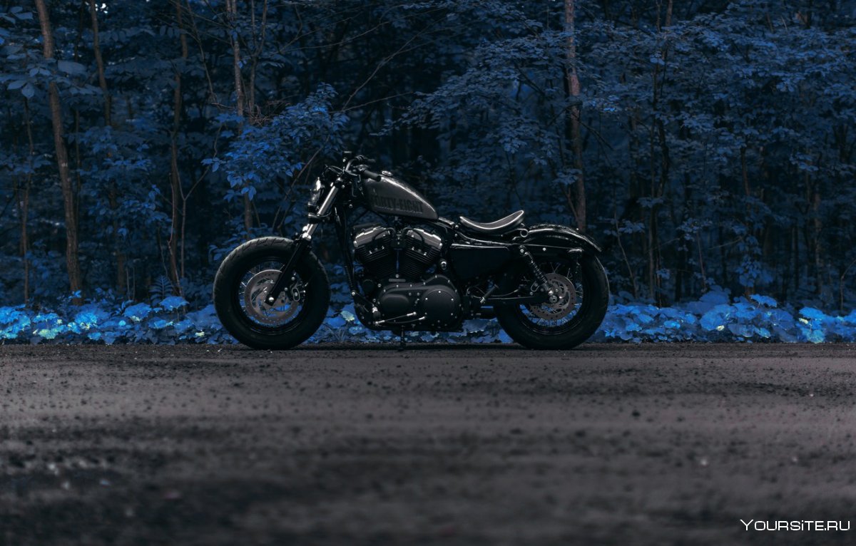 Мотоцикл ночью в лесу