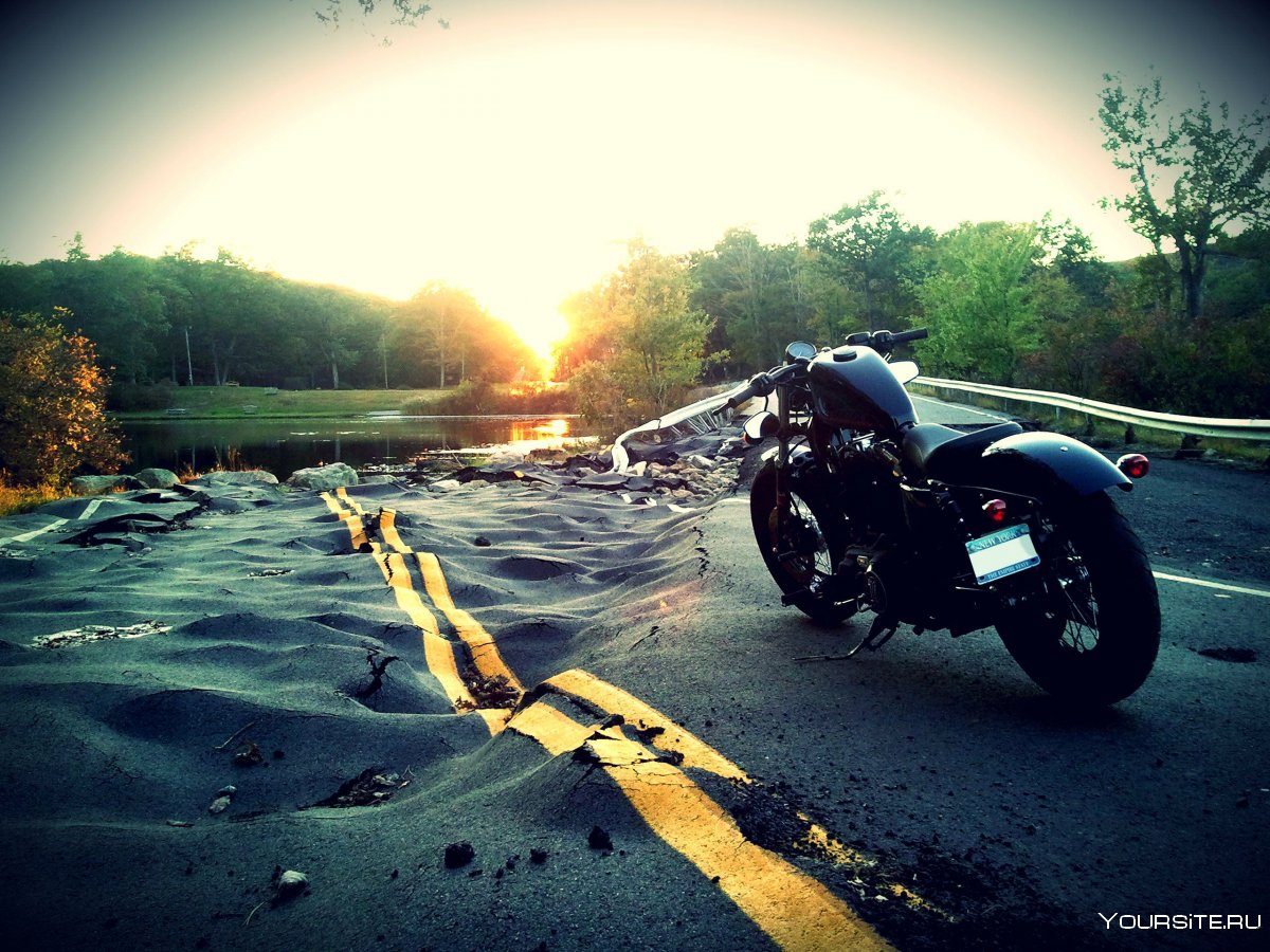 Harley Davidson мотоцикл осень