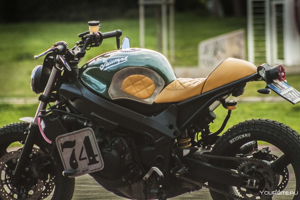Мотоцикла Triumph tt600 глушитель