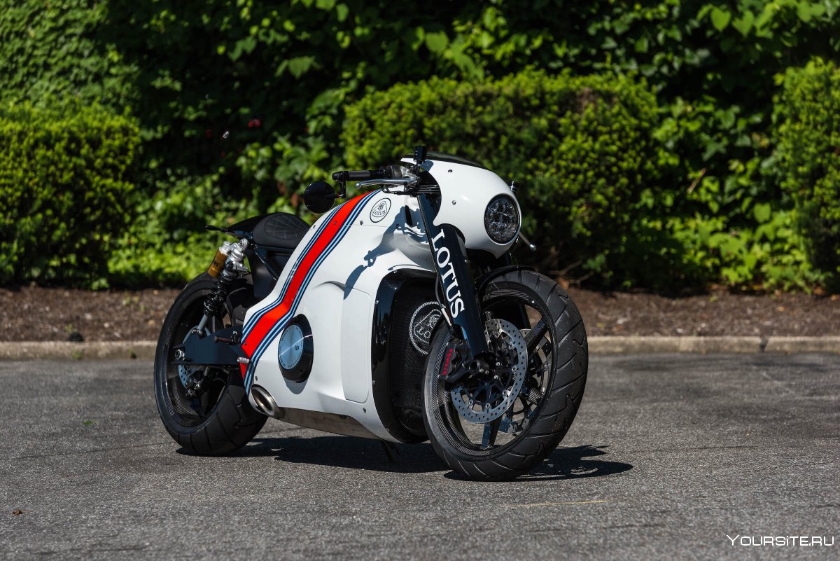Lotus c-01