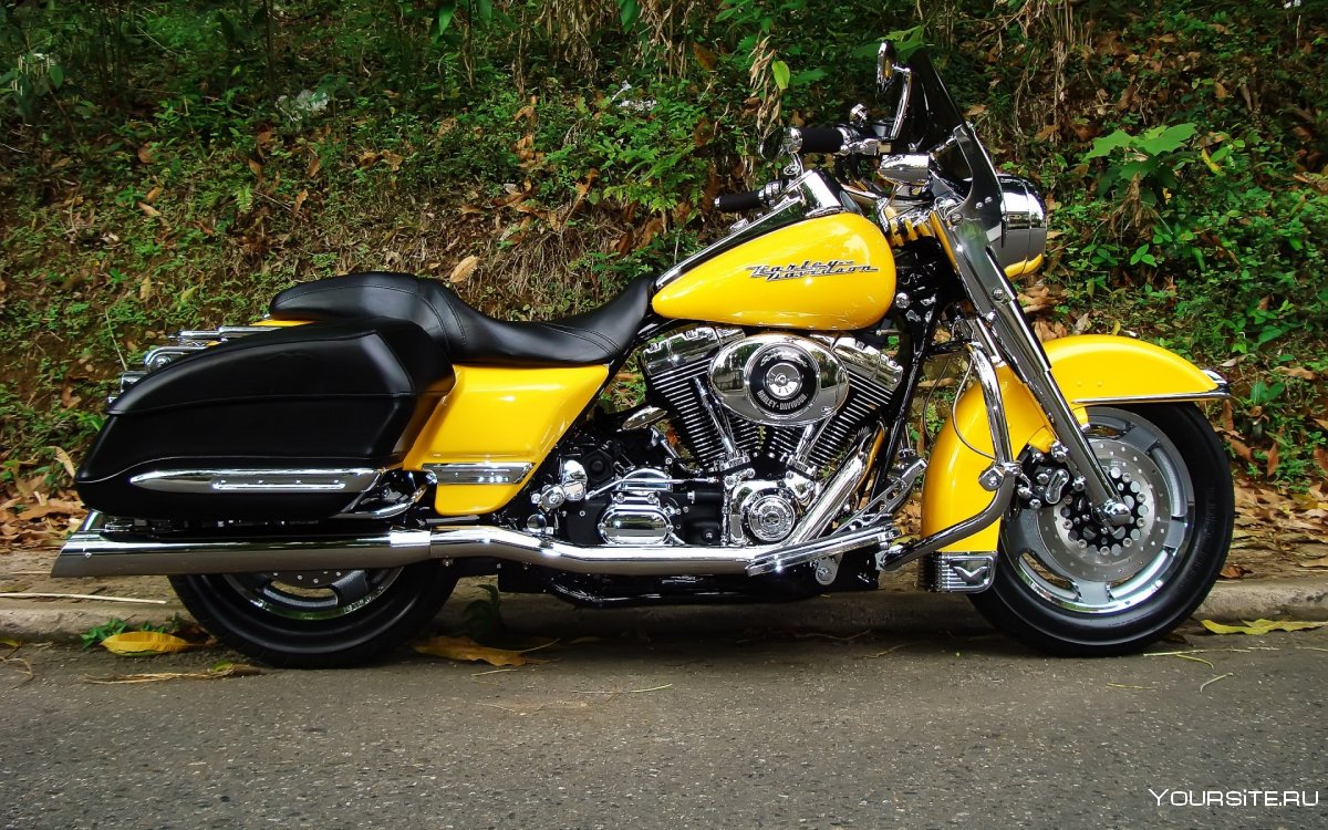 Harley Davidson Road King Bagger
