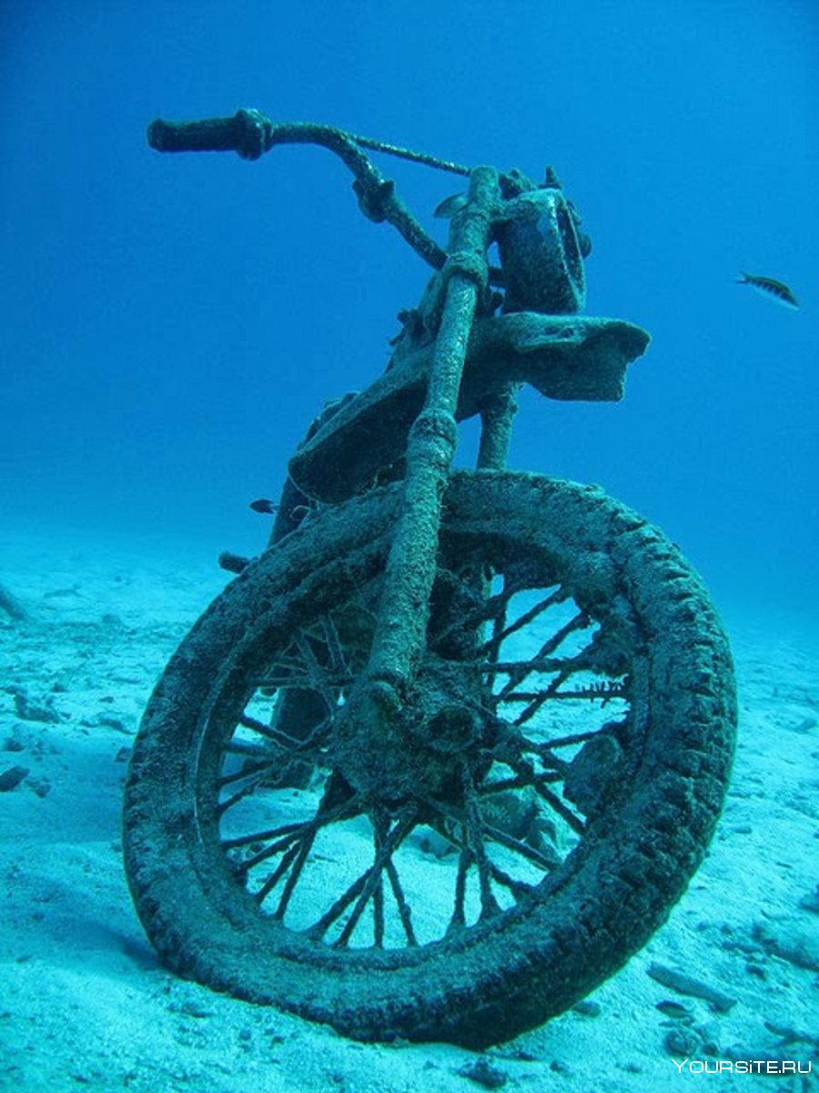 Затонувшие мотоциклы