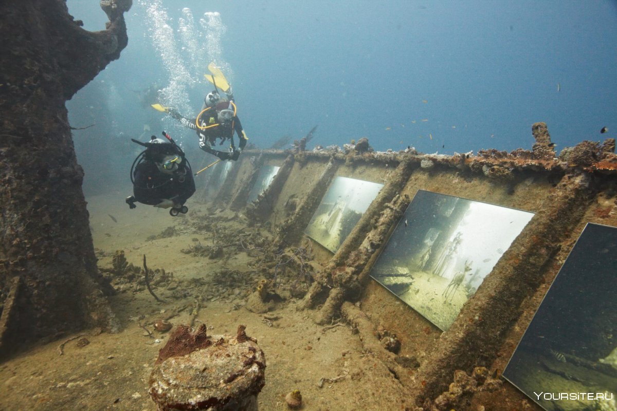 Андреас Франке подводная выставка