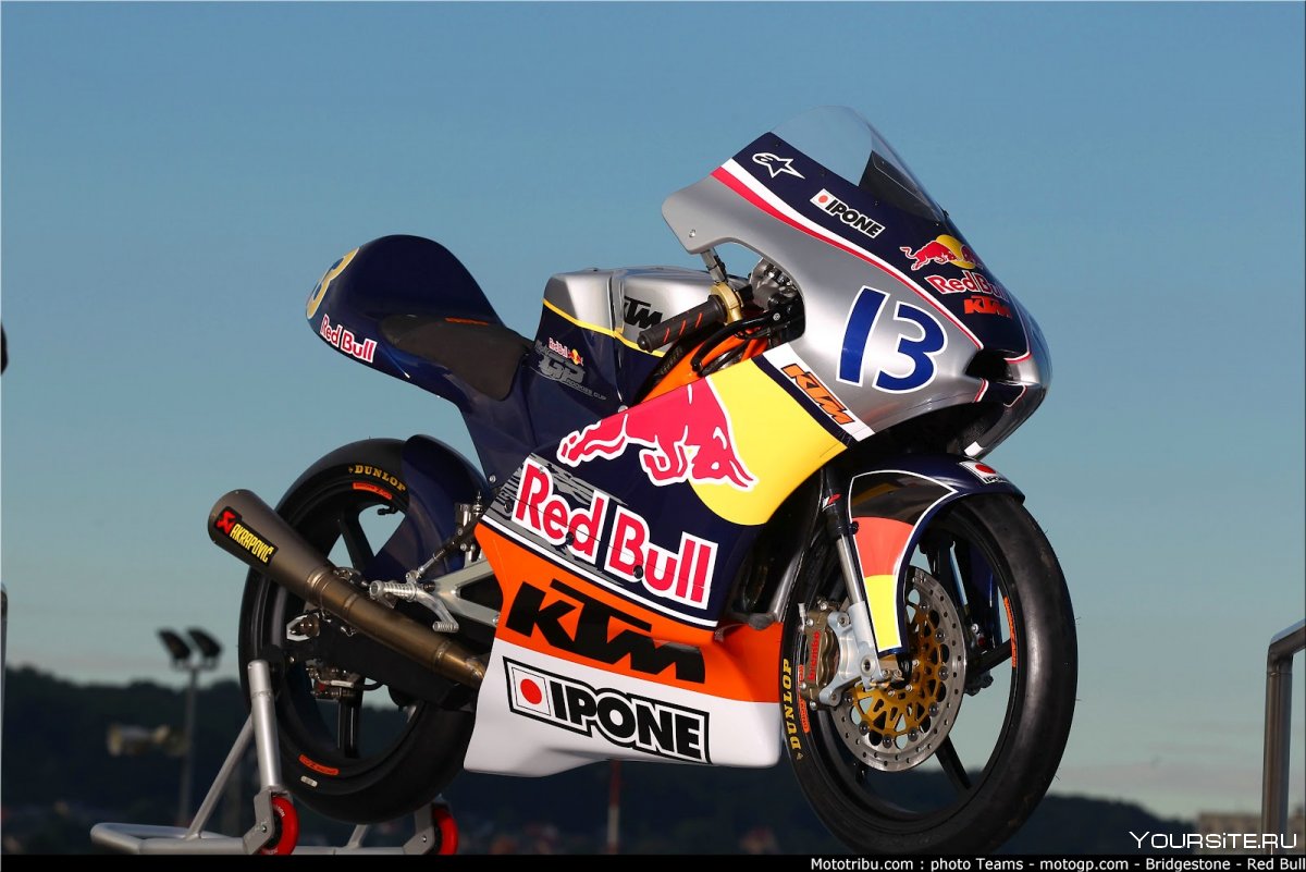 Red bull Rookies Cup