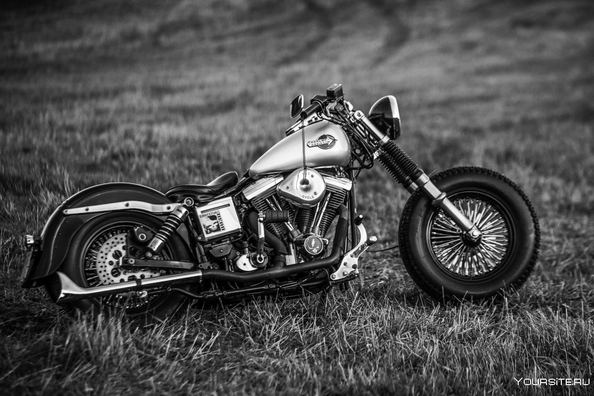 Мотоциклы Harley Davidson Thunderbike 2020