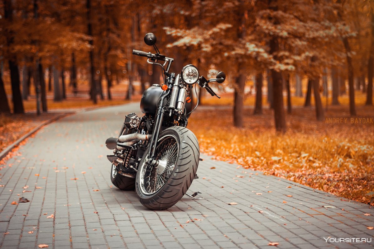 Harley Davidson осень