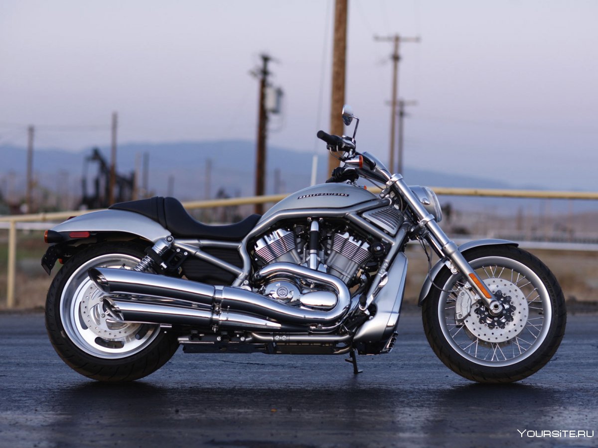 Softail Deluxe 2008 Harley Davidson model