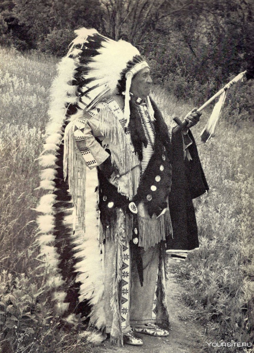 Индейский лук племени Тетон Лакота