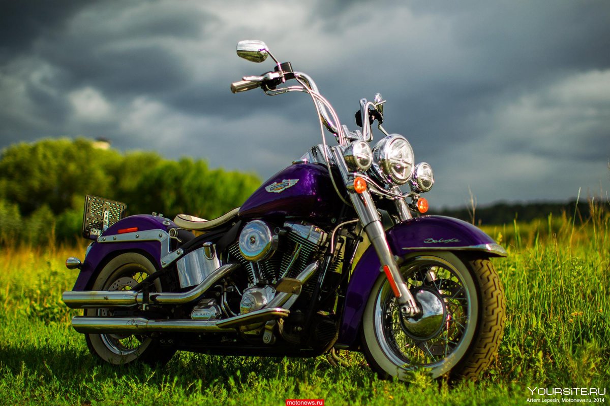 Фиолетовый мотоцикл Харлей