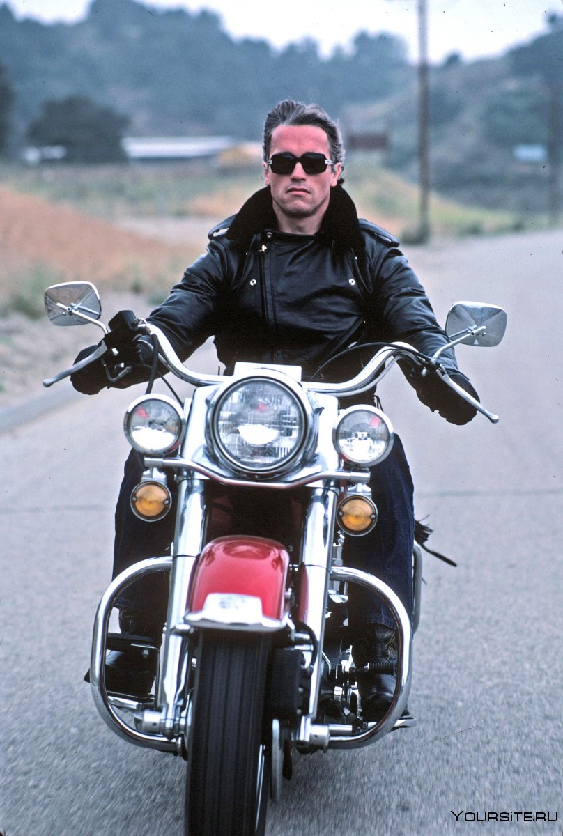 Harley Davidson Арнольд Шварценеггер