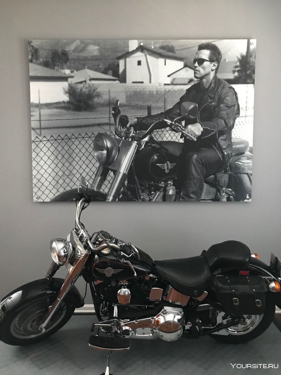 Мотоцикл fat boy Harley Davidson Terminator