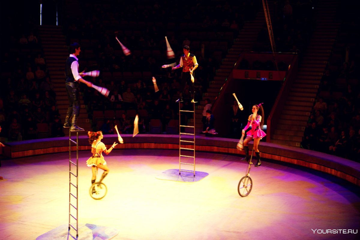 Гимнастика цирк жонглер