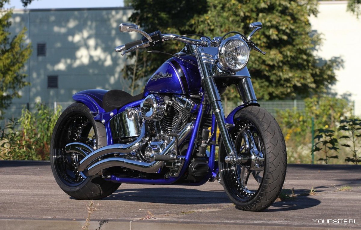 Harley Davidson Fatboy 2020 Custom