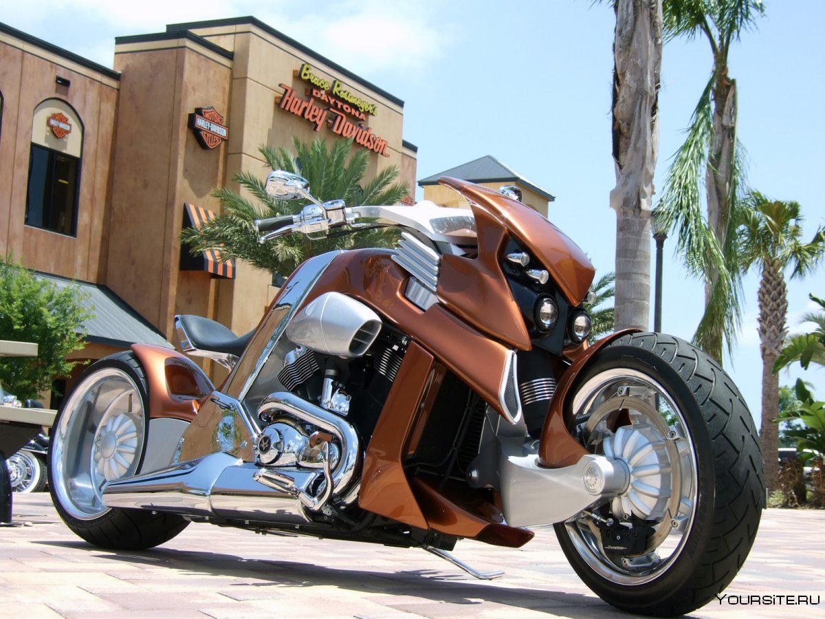 Harley Davidson v-Rex