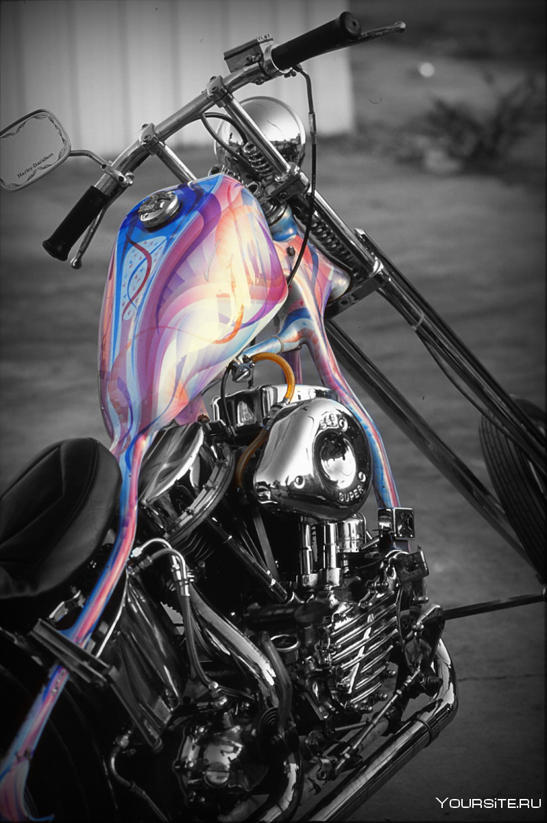 Harley Davidson Custom Paint