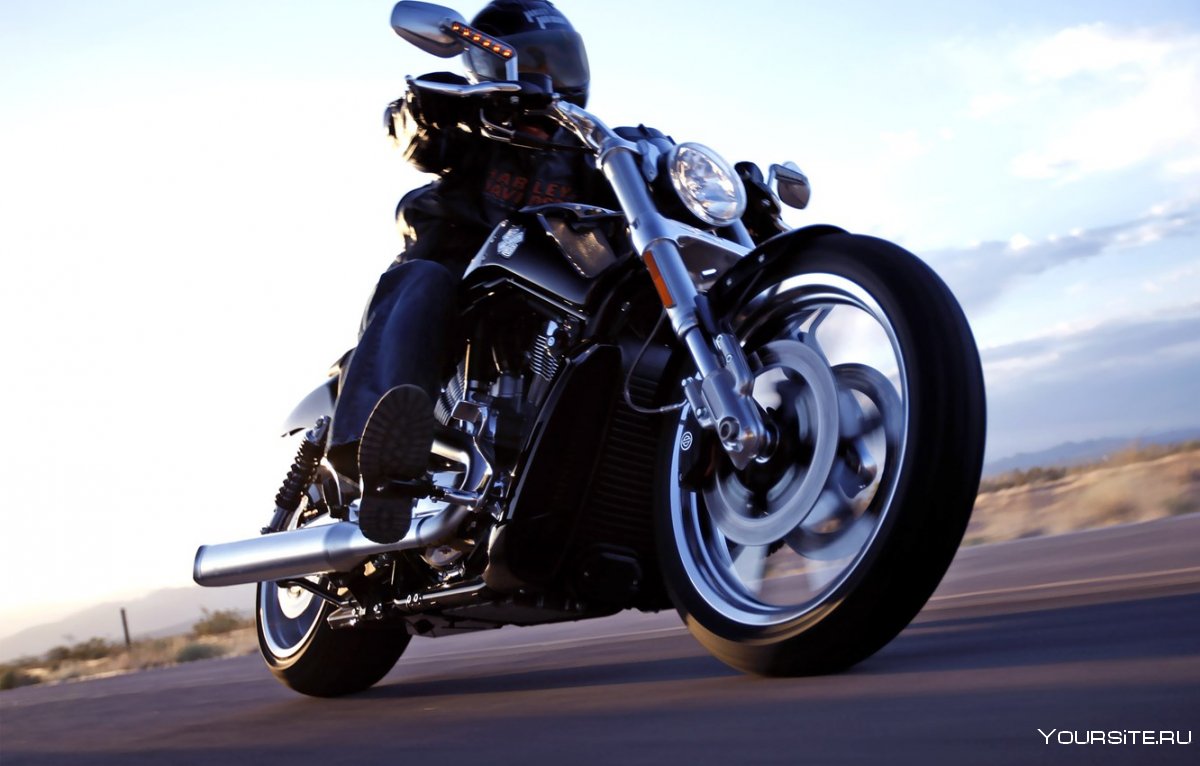 Harley Davidson v-Rod muscle 2010