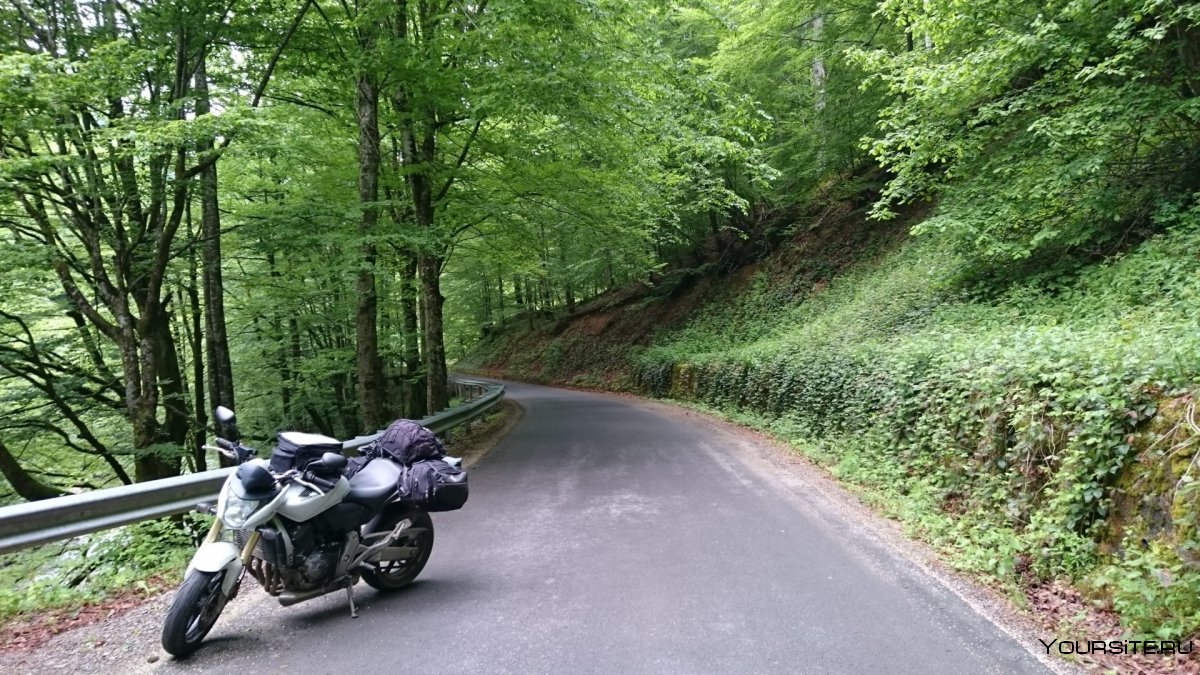 Мотоцикл на Лесной дороге