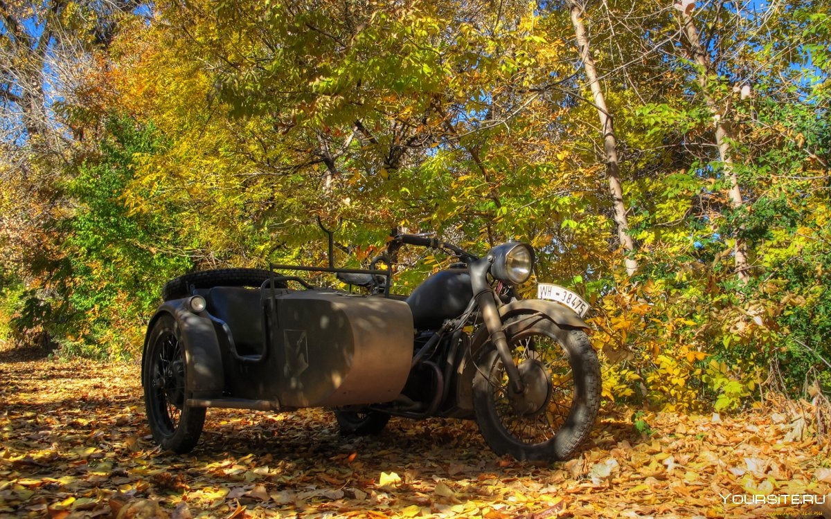 Мотоциклы в листве