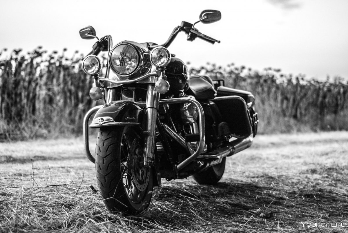 Черно-белые фотографии мотоциклов