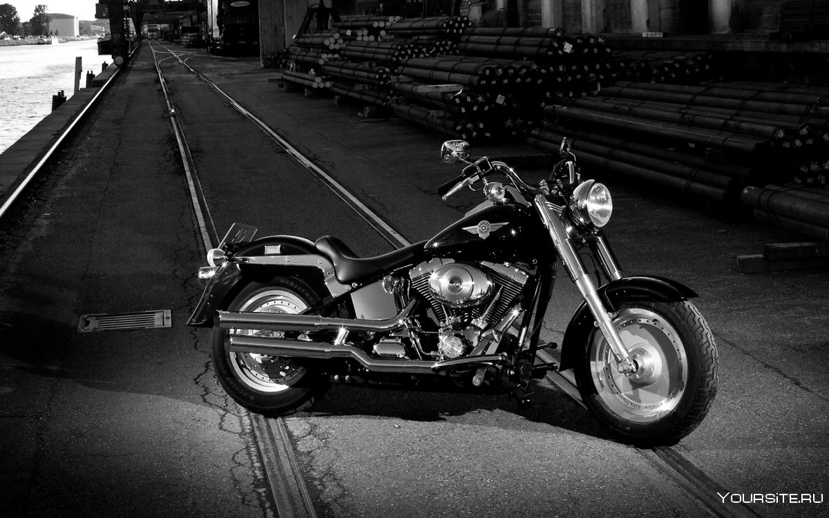 Harley Davidson White