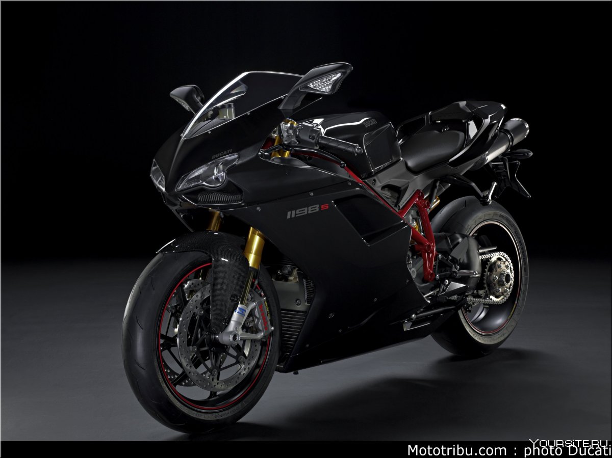 Panigale 959 2019