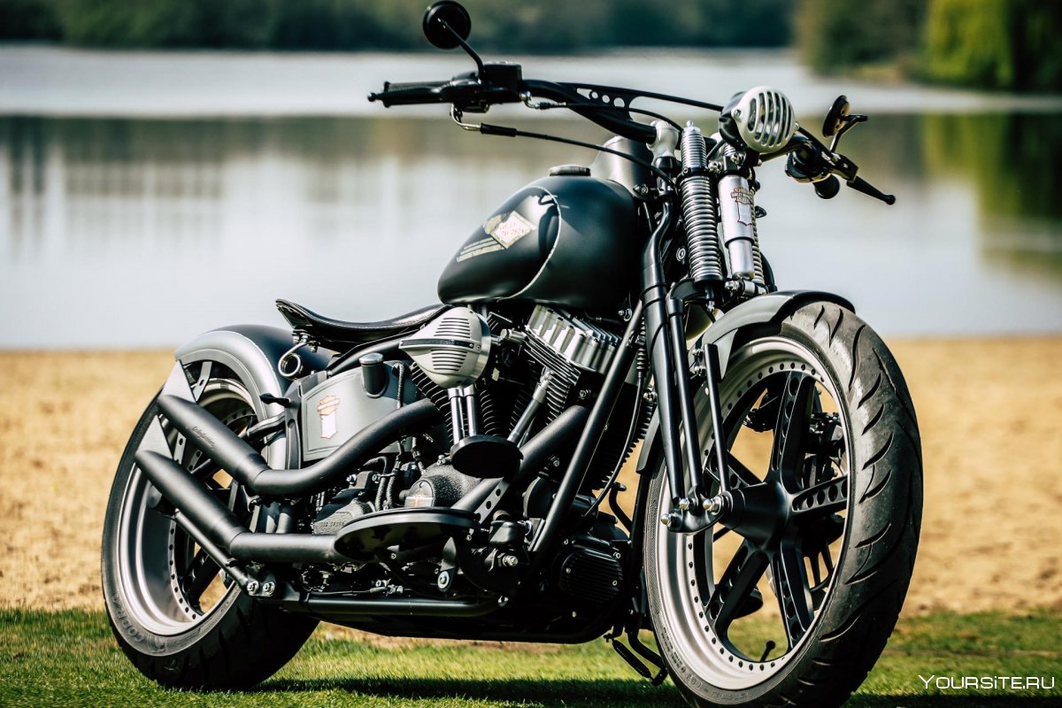Harley Davidson Softail 1