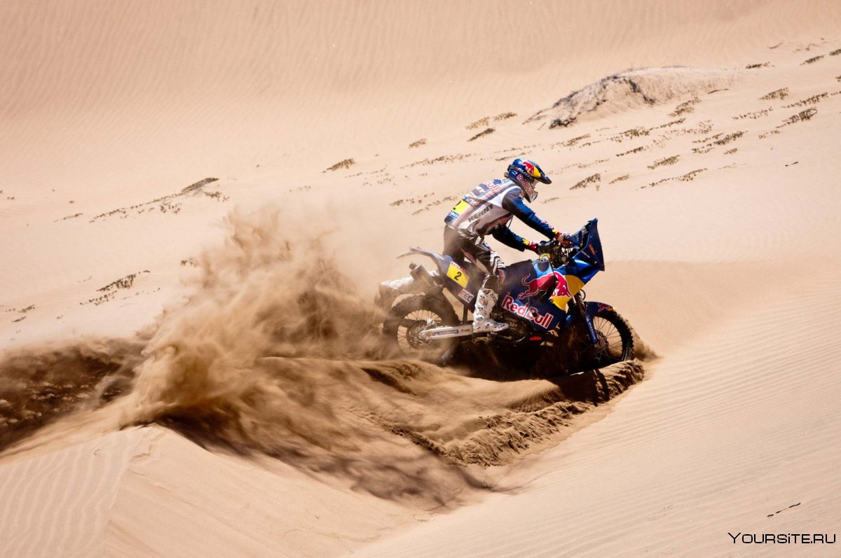 Квадроцикл т Rally, Dakar,