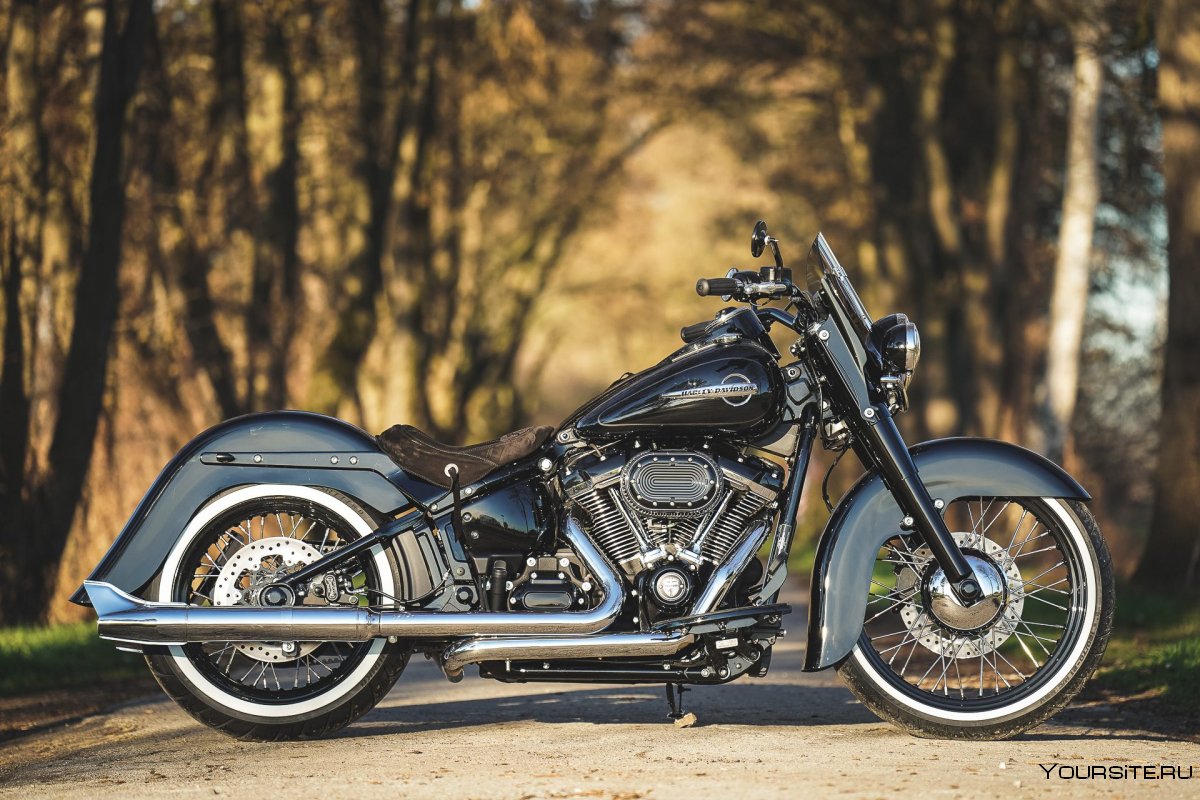 Harley Davidson Softail Standard Custom