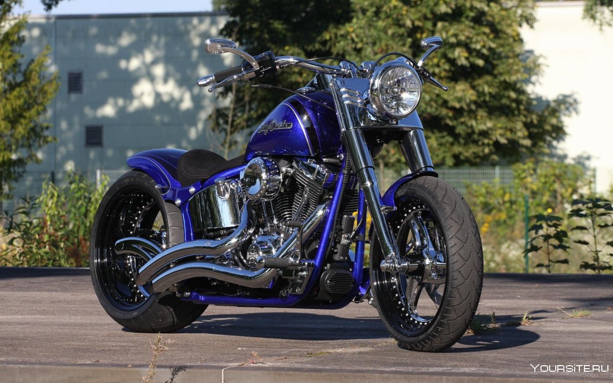 Harley Davidson Softail Thunderbike