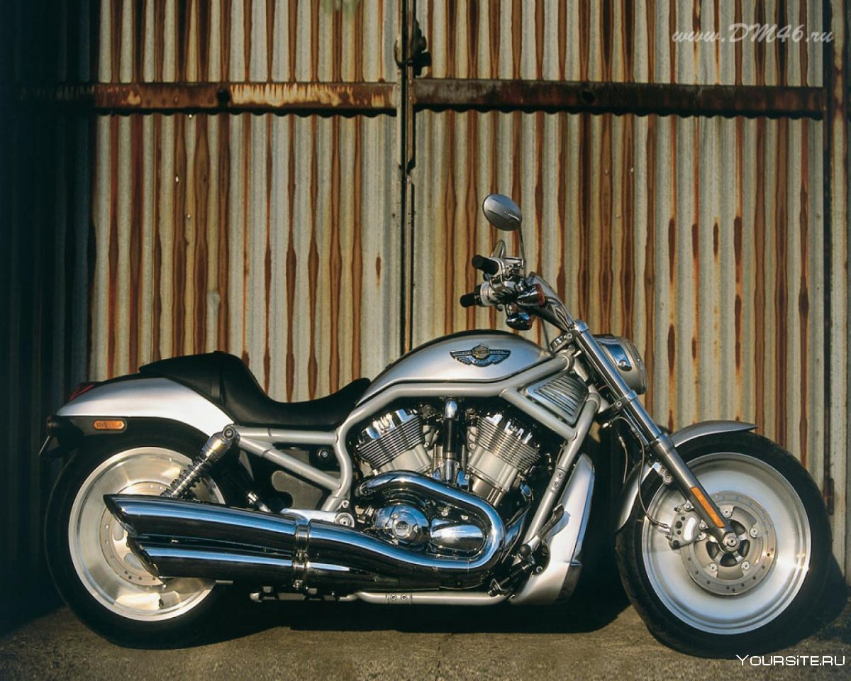 Harley Davidson VRSCA