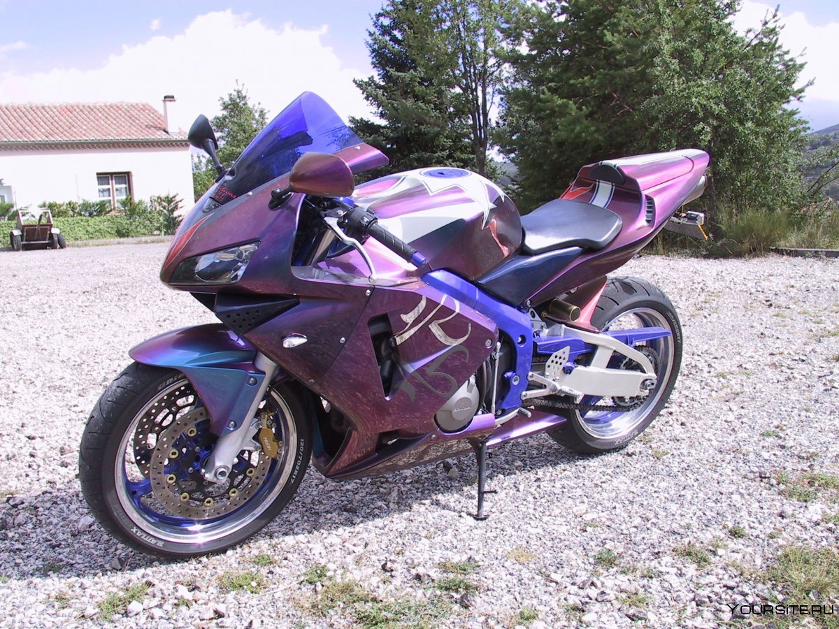 Honda CBR 600 фиолетовый