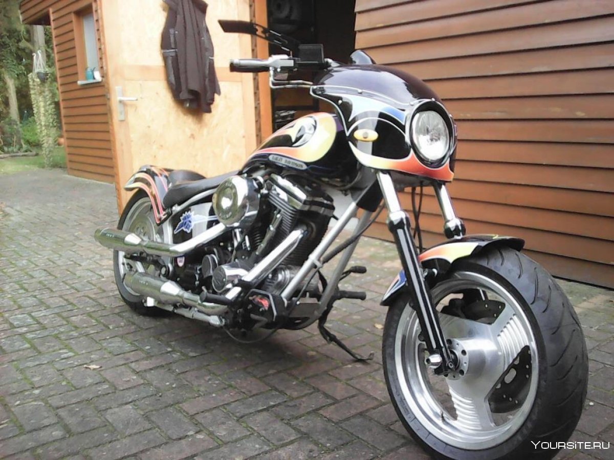 Custom Harley Davidson Arlen Ness