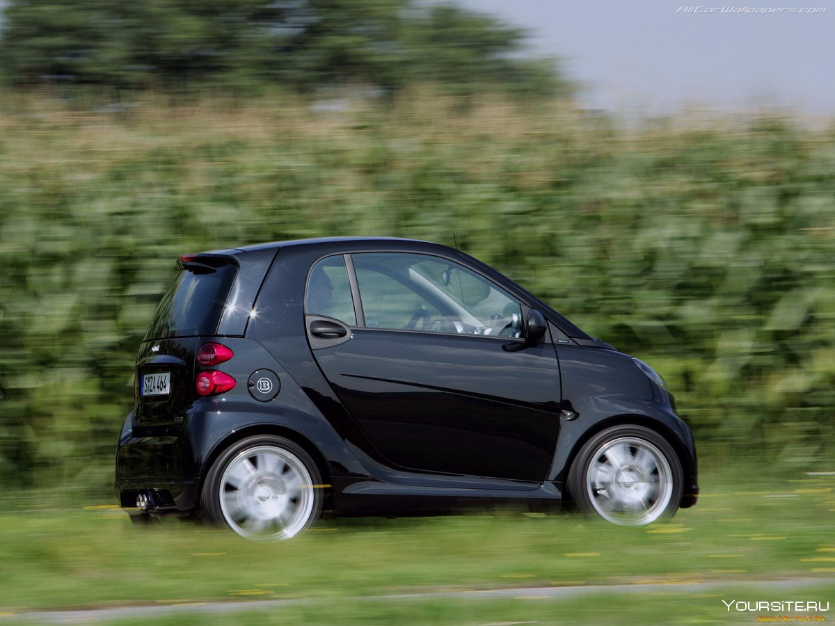Smart Fortwo w451