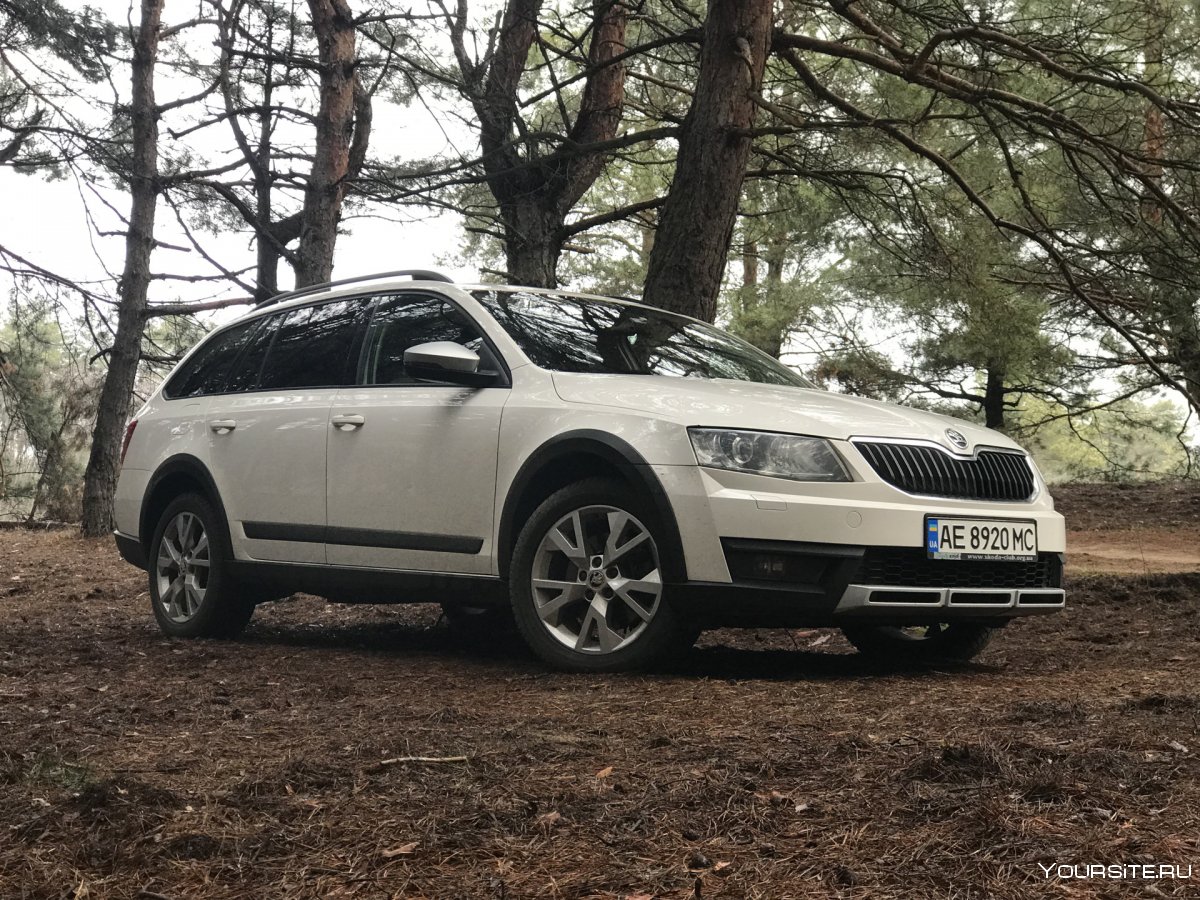 Škoda Octavia Scout a5