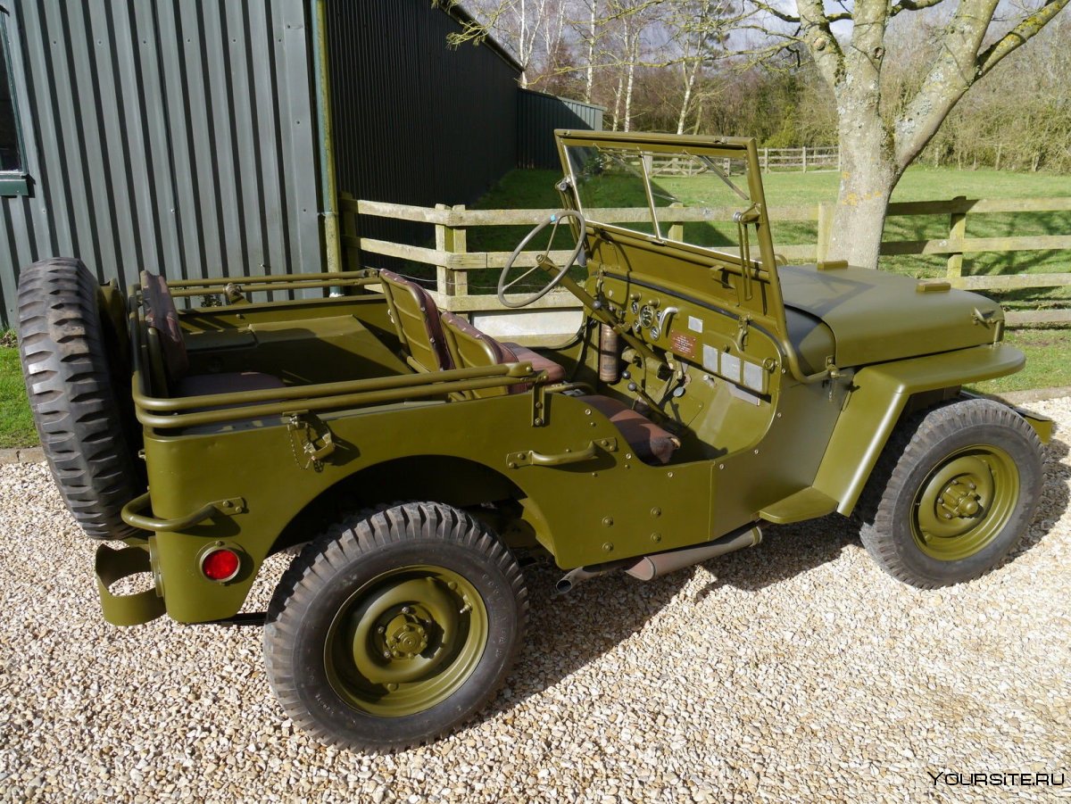 Willys m38