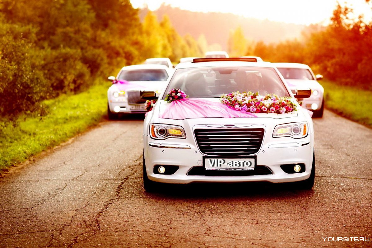 Вип авто для свадьбы логотип