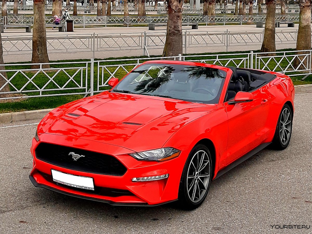 Ford Mustang Cabrio 2011