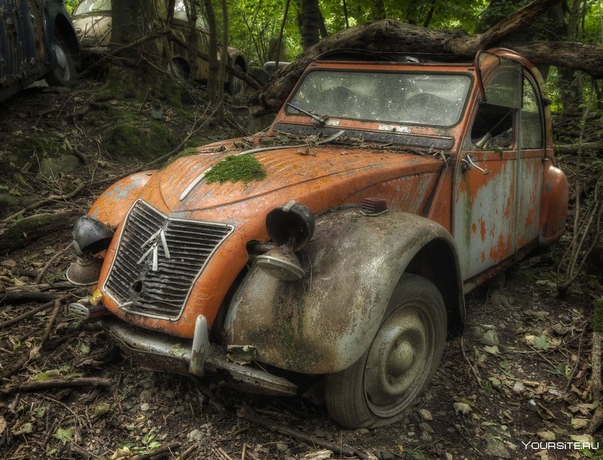 Старые брошенные автомобили
