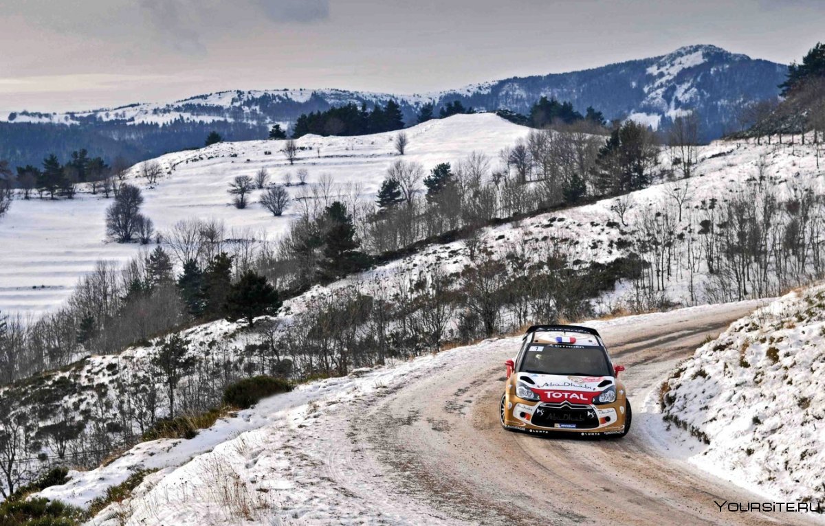 Ралли зима WRC