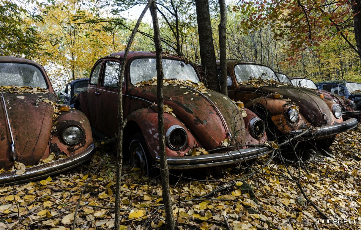 Коллекция ретро автомобилей
