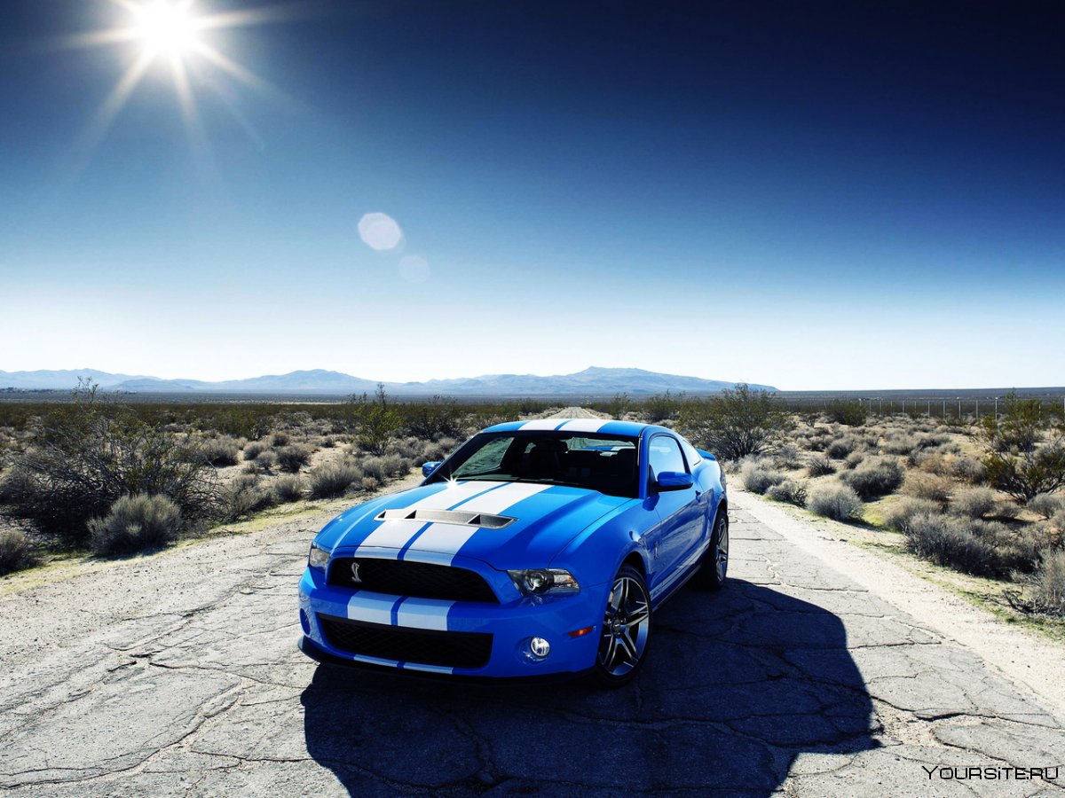 Ford Mustang Shelby gt500 синий