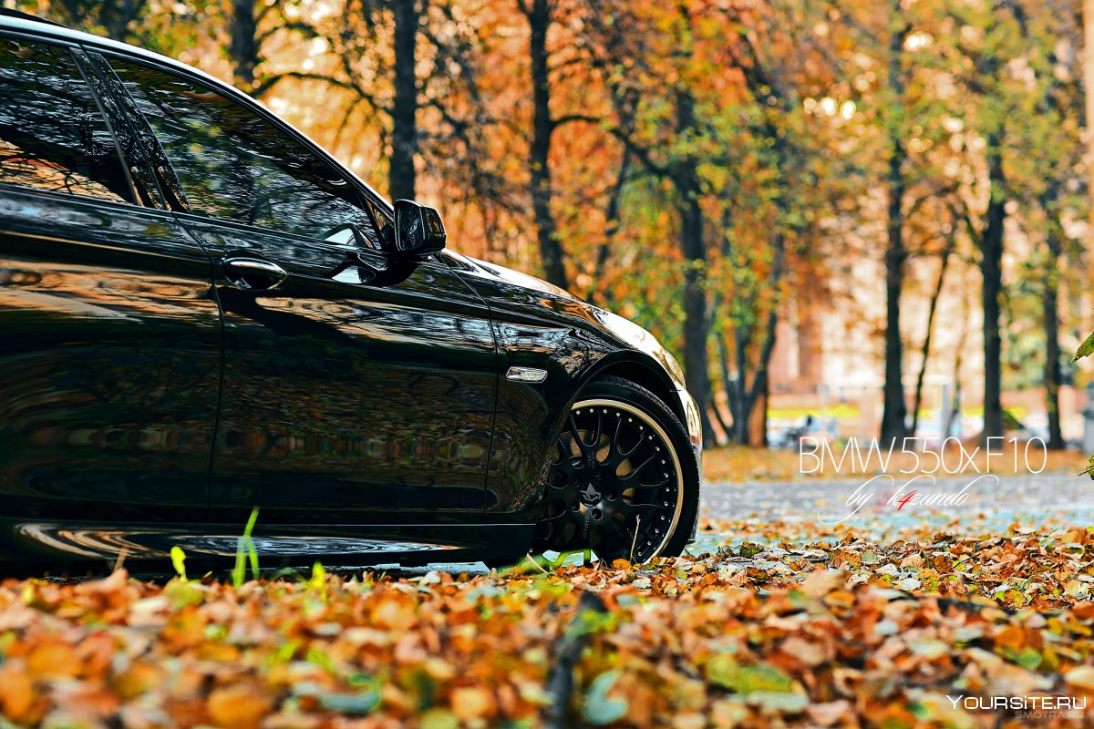 BMW x6m осенняя листва
