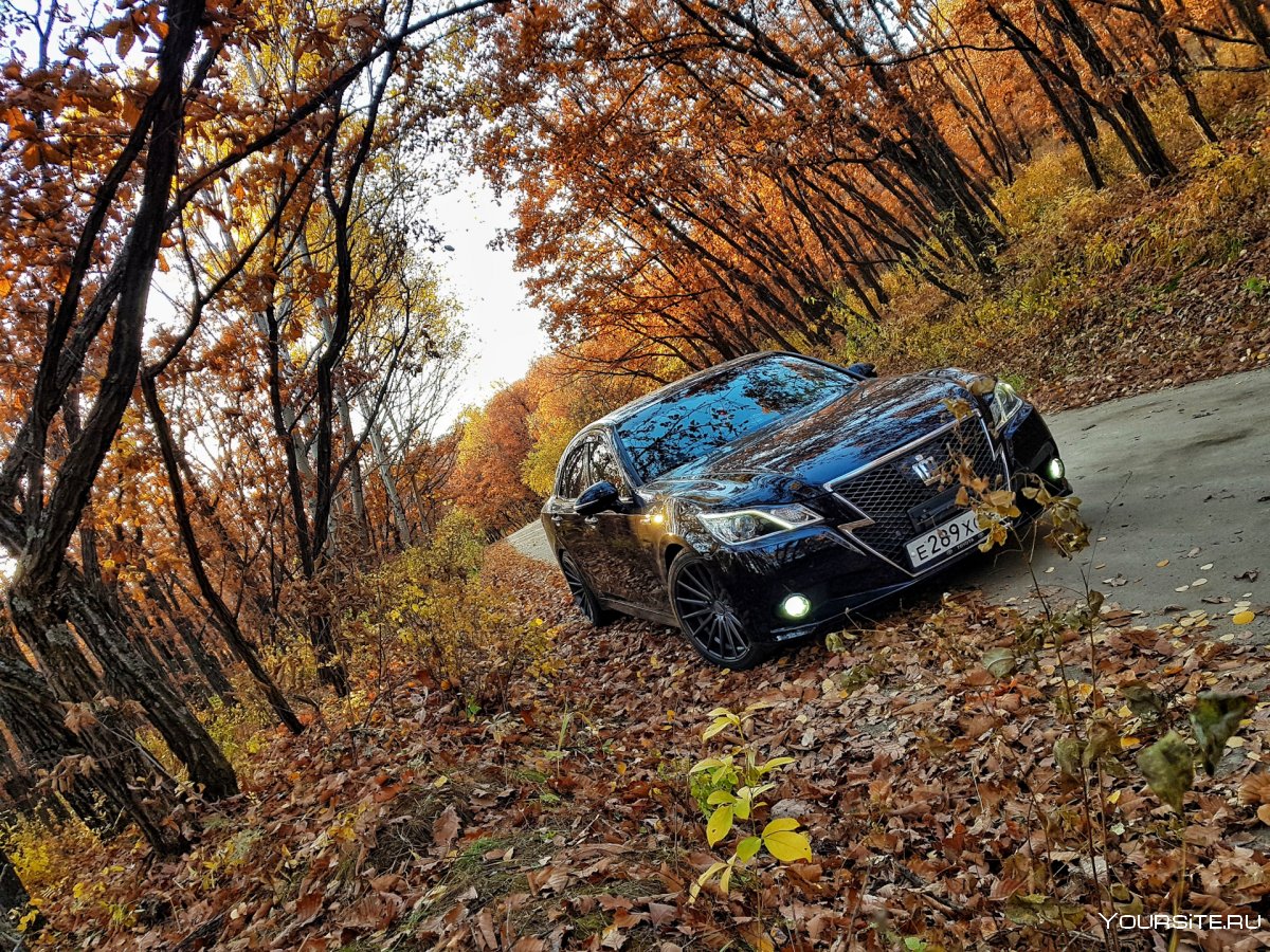 Машина в осеннем лесу