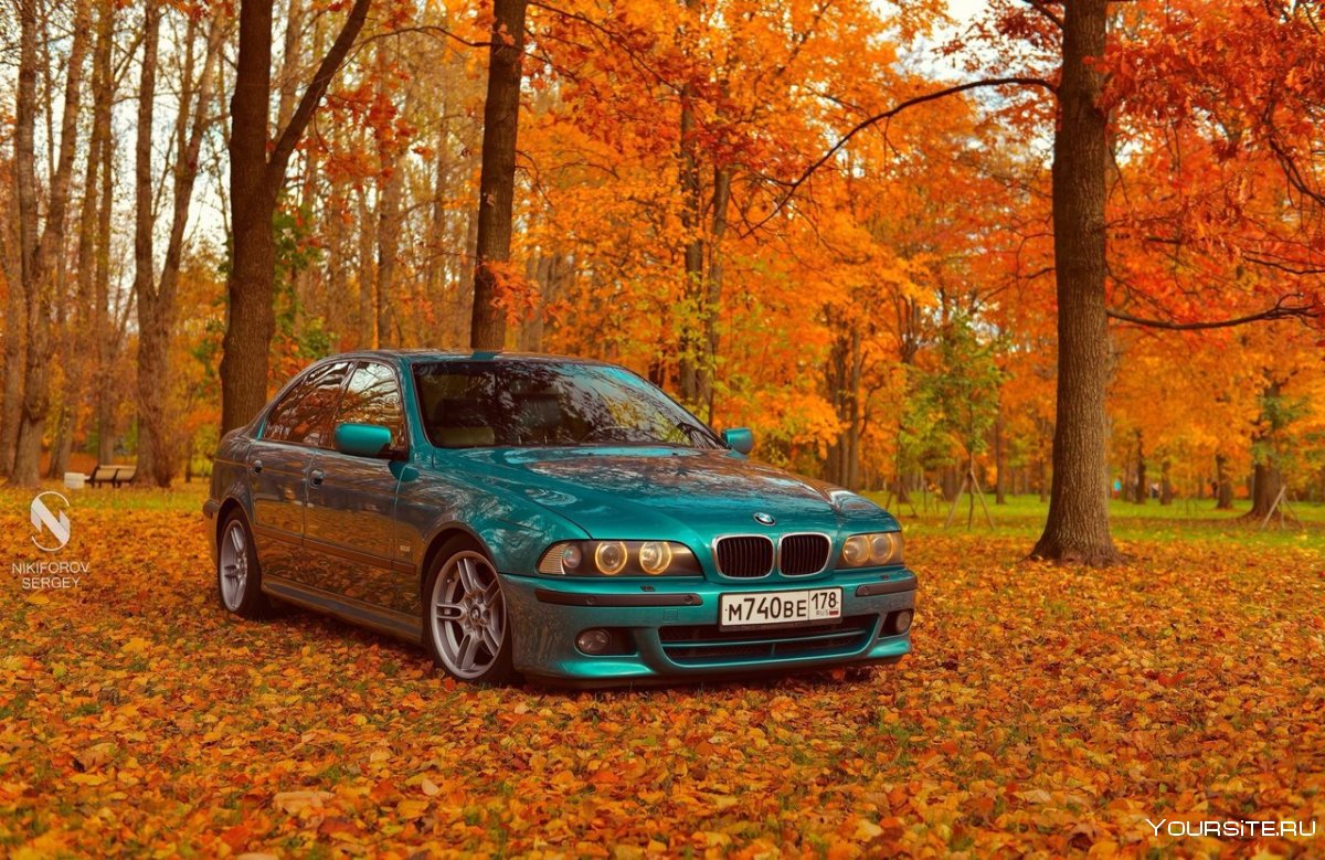 BMW e39 зеленая