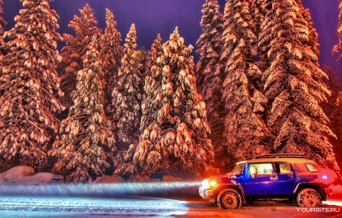Машина в зимнем лесу