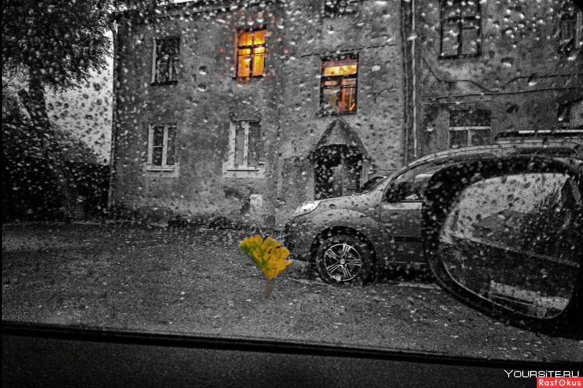 Машины дождь осень