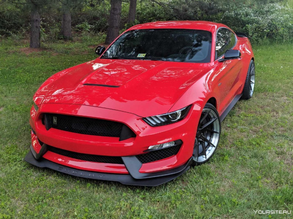 Ford Mustang gt350 Red